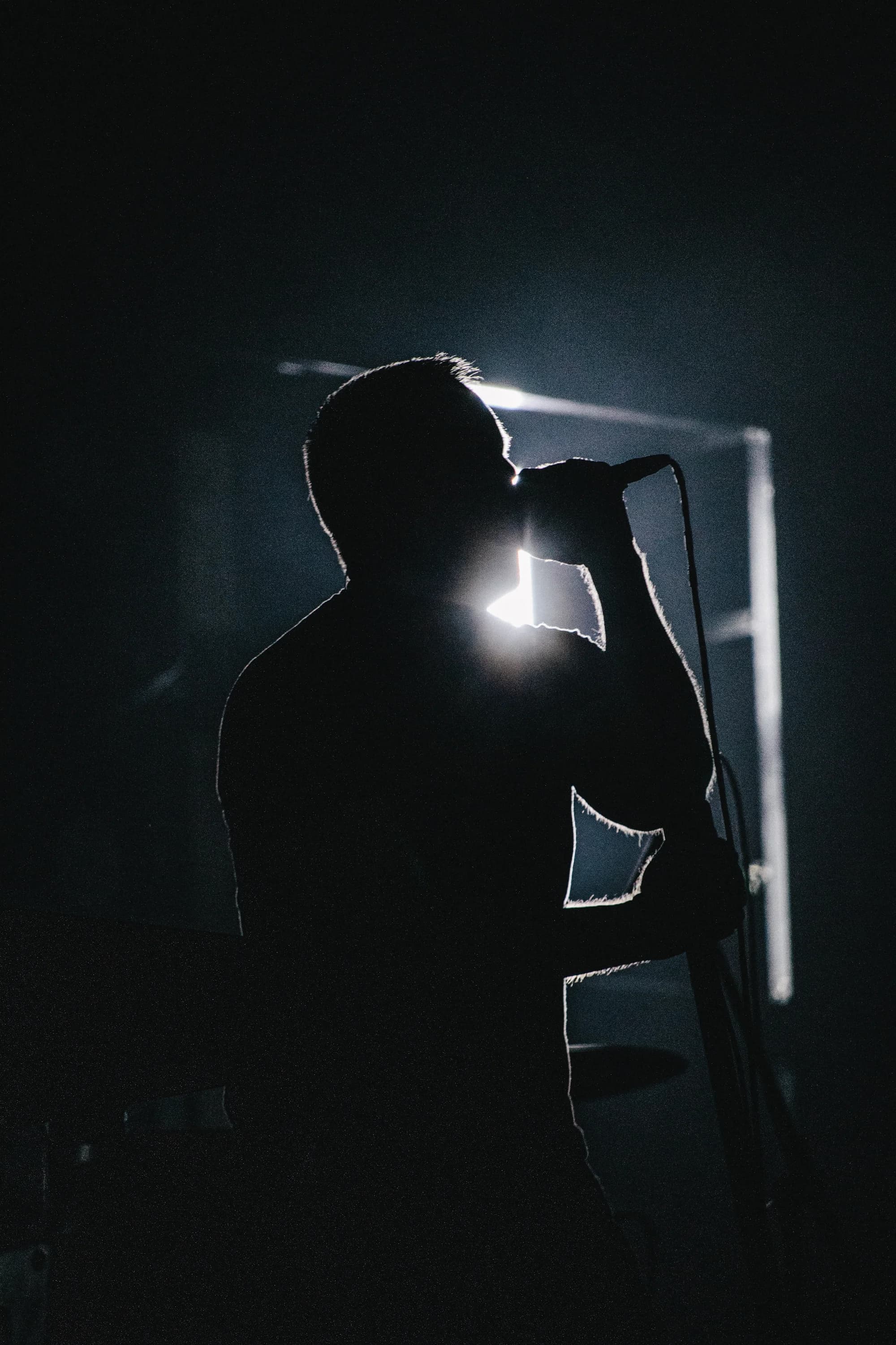 Nine Inch Nails - Nine Inch Nails - Lollapalooza -5.webp
